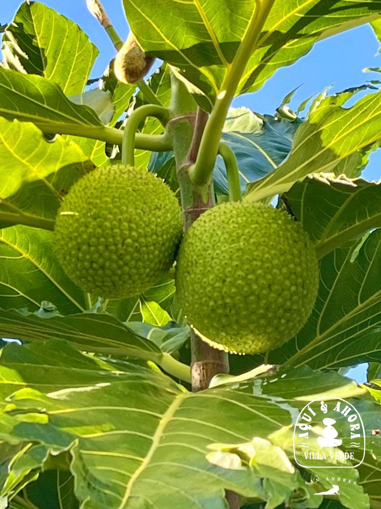 Aqui Ahora At Villa Verde San Andrés المظهر الخارجي الصورة